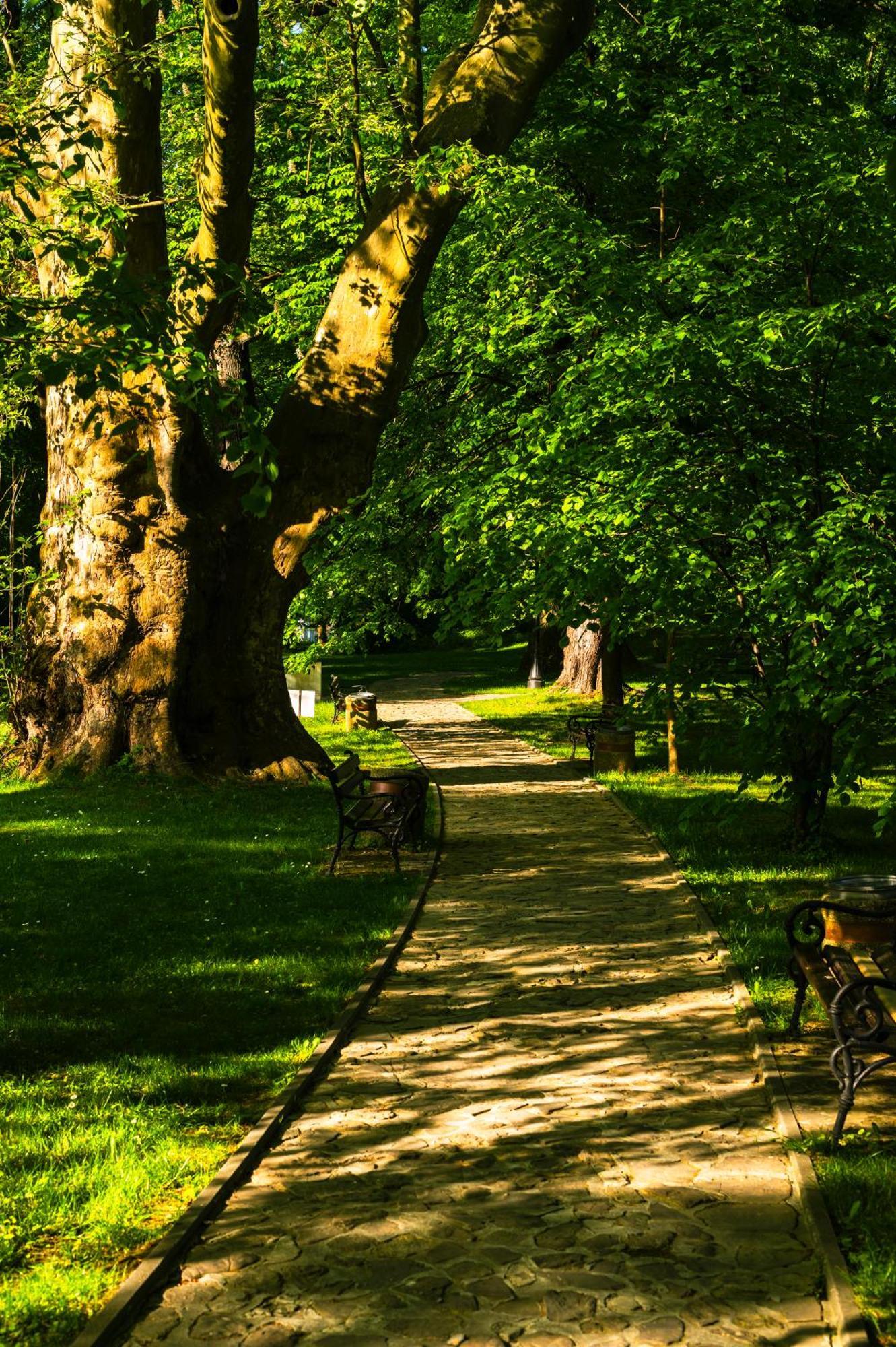 Zamek Dubiecko Exterior foto