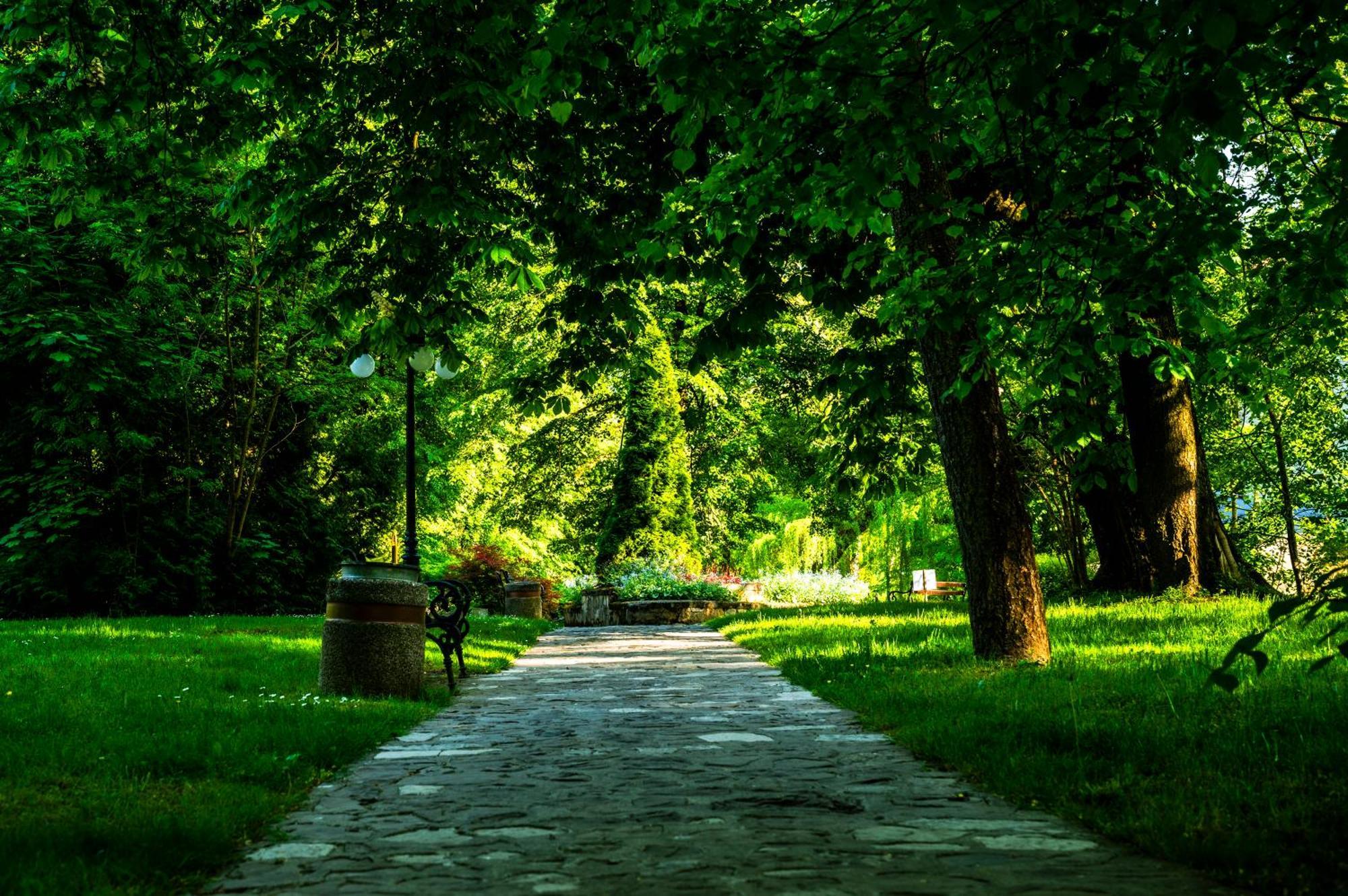 Zamek Dubiecko Exterior foto